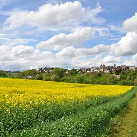 Ferienwohnung Roter Kater Am Nationalpark Eifel Bergbuir エクステリア 写真